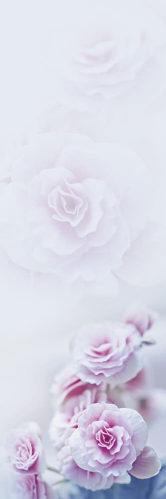 BM24122 Rosa Romantica