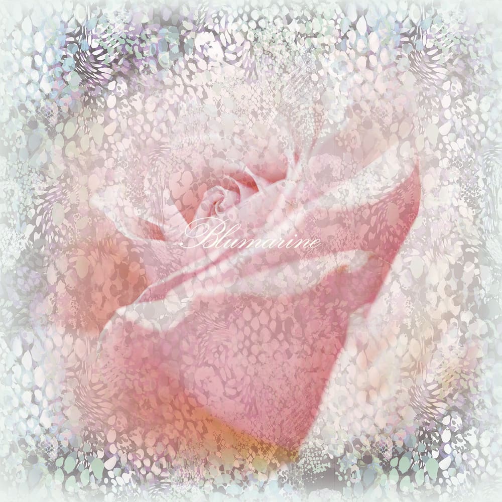 BM24123 Anna