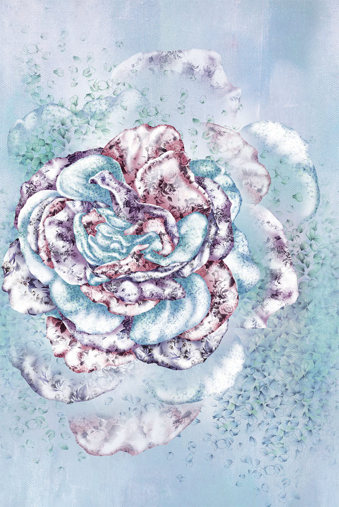 BM25233 Rosa incantata