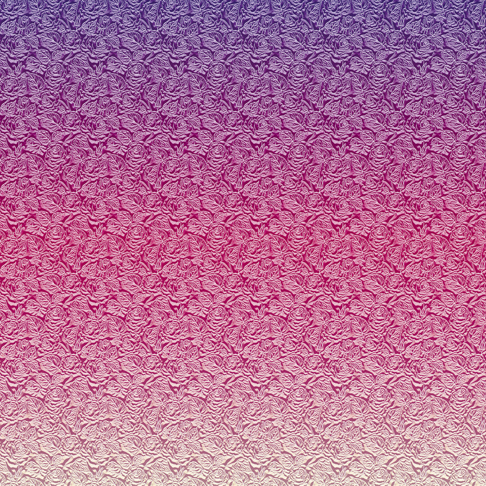 BM27107 Sfumatura di rose