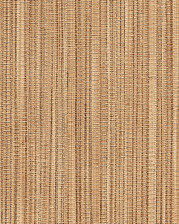 45406
